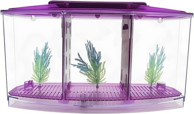 Betta Aquarium, Drei-Fächer-Aquarium, Desktop-Mini-Zucht-Isolationsbox, helles 