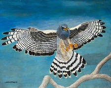 Peregrine Falcon, Falcons, Eagles, Hawks, Rapters, Birds of Prey