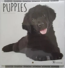 *BRAND NEW* 2019 Puppies Mini Wall Calendar by TF Publishing FREE SHIPPING. 