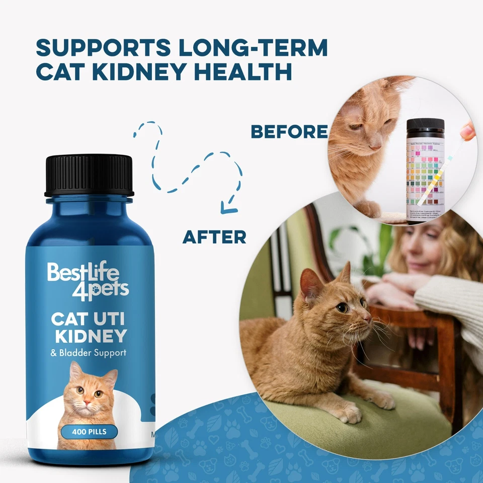 Cat UTI Remedy & Kidney Support for Cats - Image 4 of 4