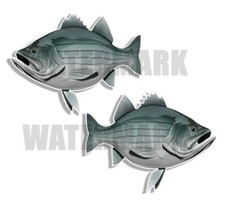Striped Bass Decals Fish Stickers Tackle Box ...