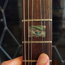 Tanglewood JZ503 Archtop Hollow Body electro acoustic guitar
