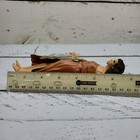 Bild 9 von 11