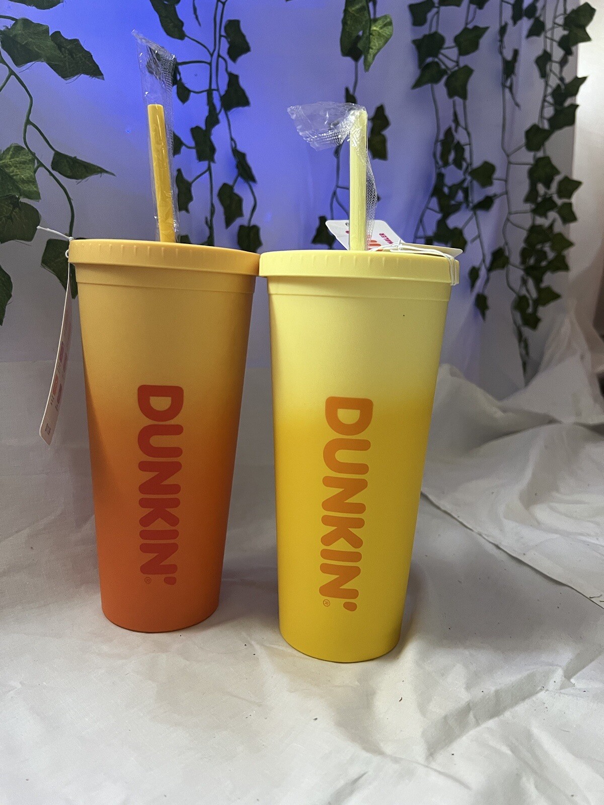 Dunkin Donuts 24oz Rainbow Acrylic Travel Tumblers w/ Straws 2023 (set of 2) eBay