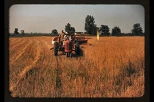 Harvesting oats, southeastern Georgia, tractors, agriculture, farming,