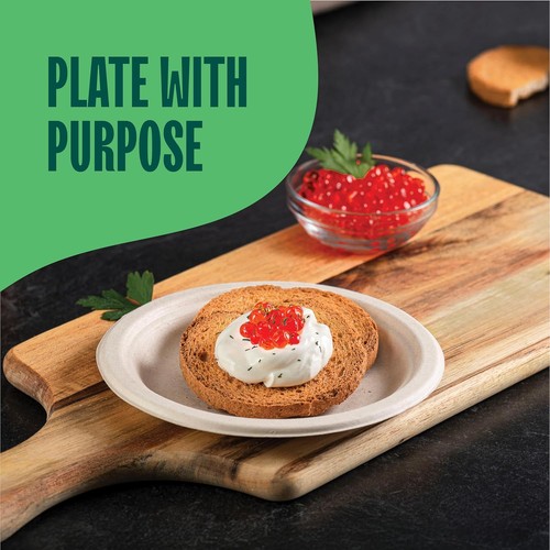 Paper Plates, 100% Compostable Heavy Duty, Disposable 7 Inch, Small Brown - Picture 3 of 7