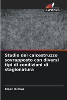Studio Del Calcestruzzo Sovrapposto Con Diversi Tipi Di Condizioni Di...
