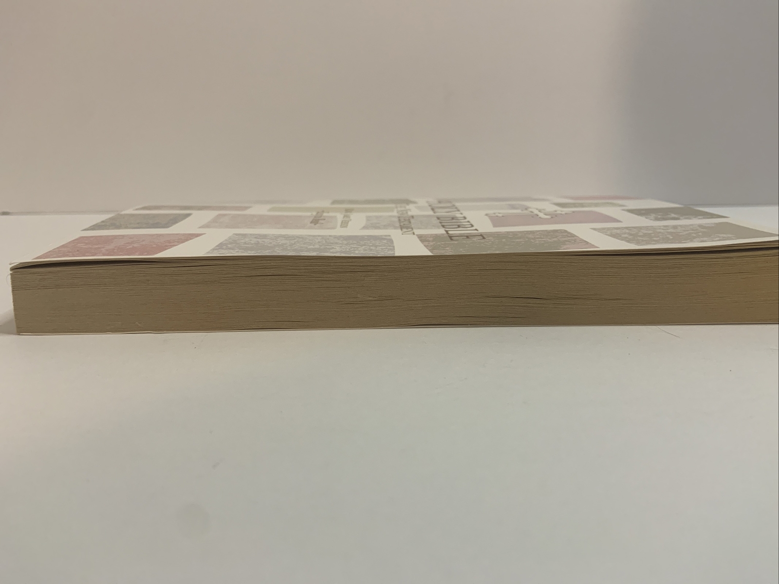 HOLY BIBLE the NEW TESTAMENT KING JAMES VERSION EASY TO READ PRINTED IN ...