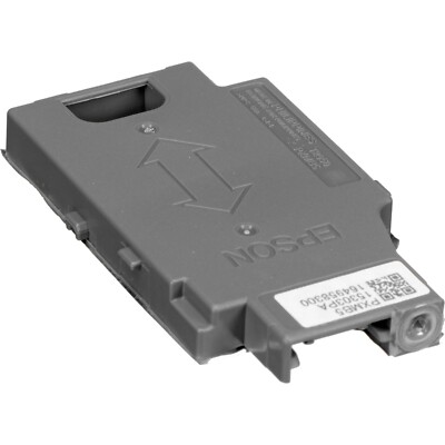 Epson T295000 Ink Maintenance Box for WorkForce WF-100