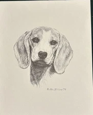 Beagle Print Vintage 8 X 10