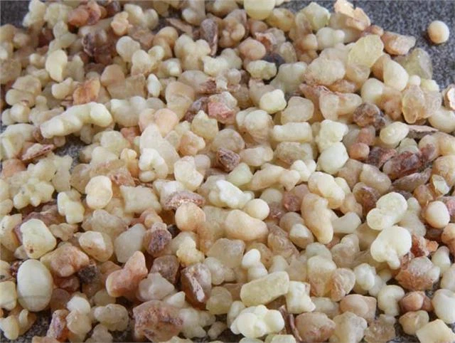 Frankincense Resin - Premium Quality by LiveMoor - Various Sizes Avail