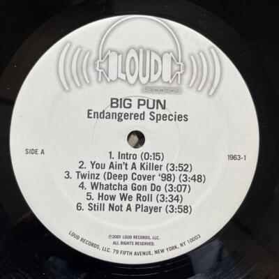 洋楽 Big Pun Endangered Species 2LP 2001 Big Pun - Endangered Species 12