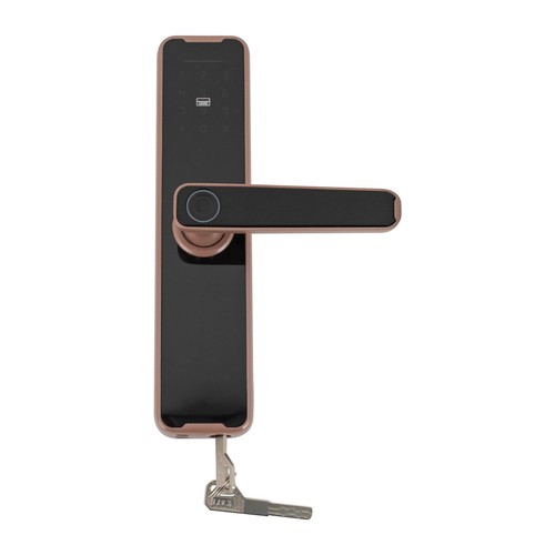 Casa Impronta Digitale Serratura Porta Maniglia Porta Intelligente Serratura Porta Biometrica - Foto 9 di 20