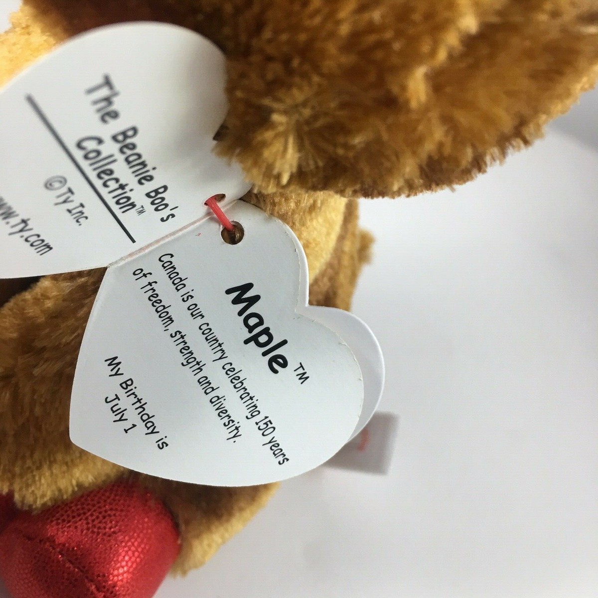Ty Beanie Boo Maple The Moose - Alce Peluche 15 Cm - Edizione Canadese Esclusiva