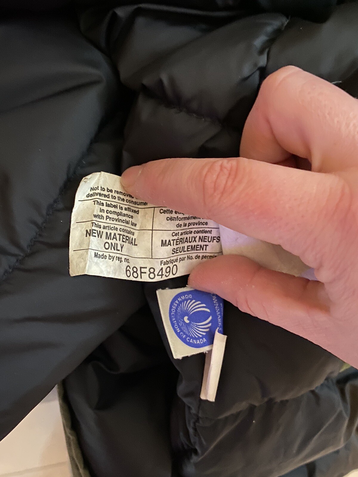 canada goose eBay