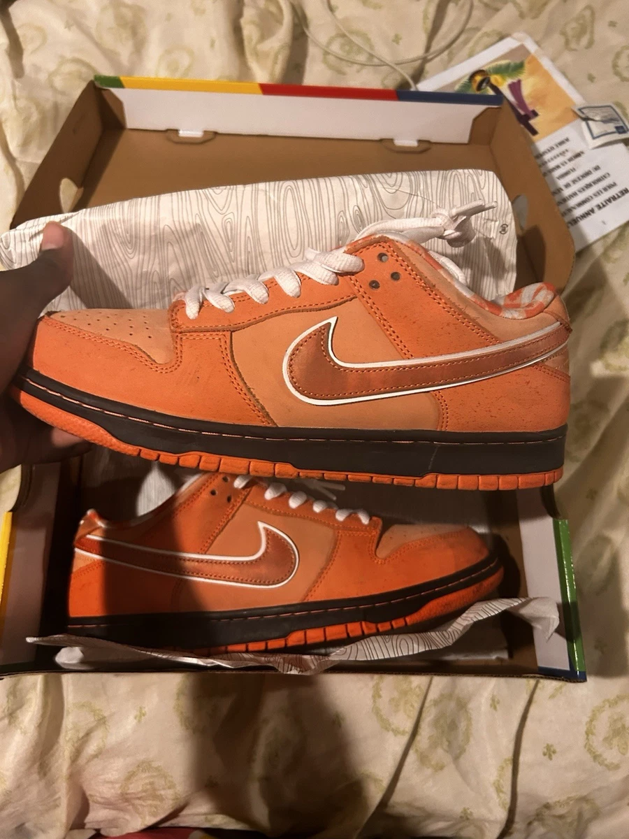 Nike SB Dunk Low Men’s Skateboarding Low Top Lace-Up Sneaker Orange/White/Black