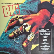 Various - The Pinnacle Project: Big (CD, Comp) (Near Mint (NM or M-)) - 37648852