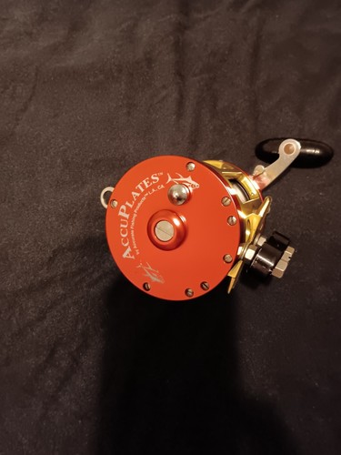 Penn 113HLW Highspeed 4/0 mit präzisem Rahmen & Seitenplatten breite Aluminiumspule - Bild 2 von 6