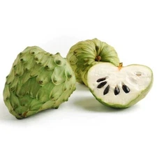 Cherimoya - Chirimoya - Custard Apple - 15 Fresh Seeds