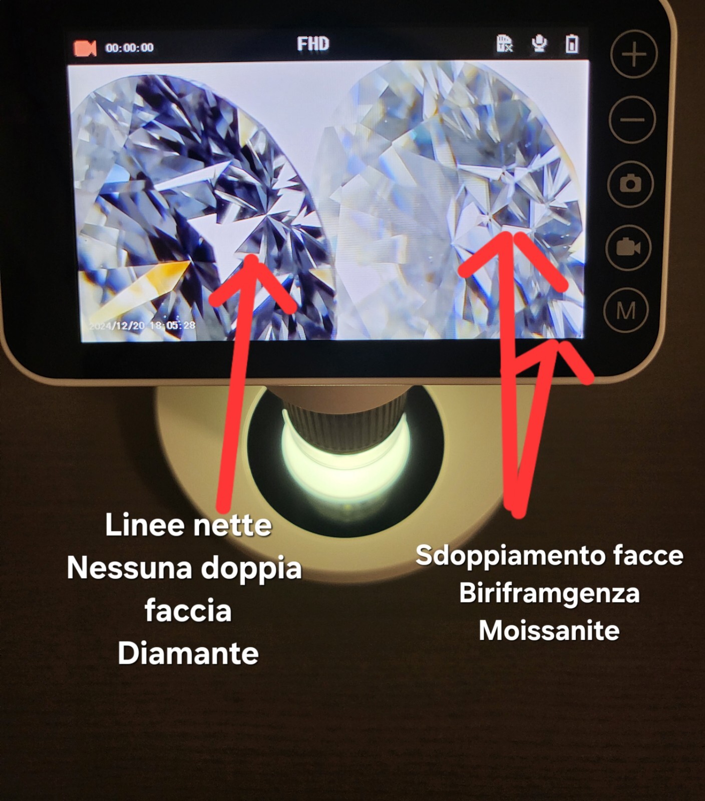 Foto 10 di 24