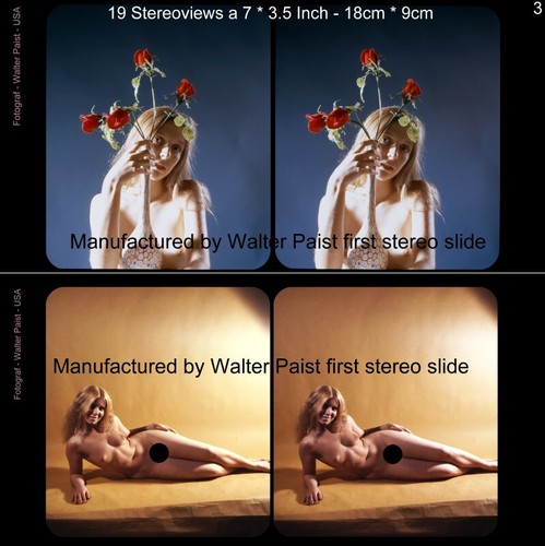 111 Stereofotos private nude Models von Fotograf Walter Paist USA Lot 1-6