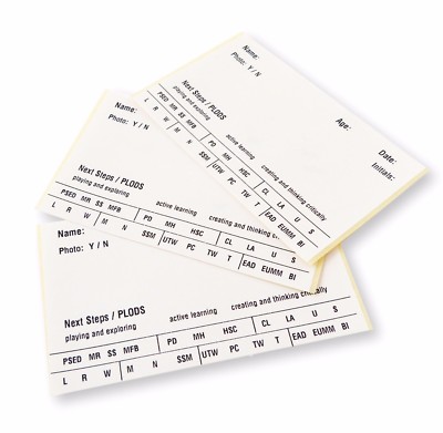 LARGE EYFS CHILDRENS OBSERVATION LABELS CHILDMINDER STICKERS NURSERY ...