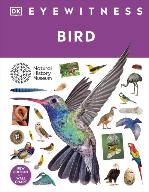 Bird - Image 3