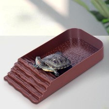 Reptile Bathing Pool Tortoise Feeding Dish Accessories Amphibians Reptile Bowl