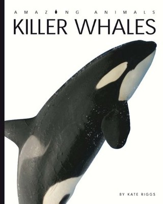 AMAZING ANIMALS: KILLER WHALES By Kate Riggs *Excellent Condition*