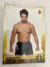 2015 TOPPS WWE nxt FROM JAPAN HIDEO ITAMI NXT ROOKIE WRESTLING CARD SEE