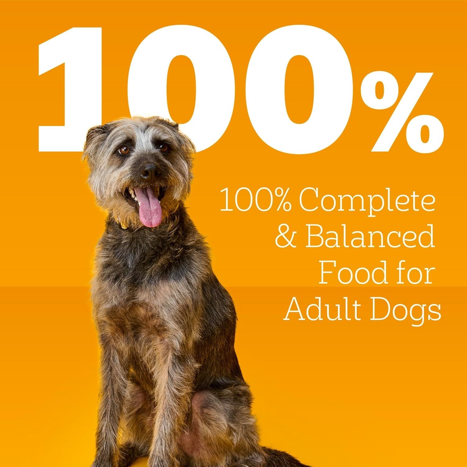 Pedigree Small Dog Tender Bites Wet Food Steak & Vegetable 13.2oz Cans 12-Pack