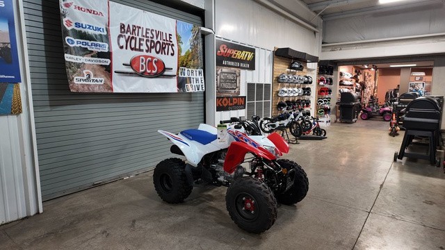 Honda TRX 229