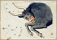 11192.Decoration Poster.Home Wall art decor.Taurus.Horoscope Astrology chart