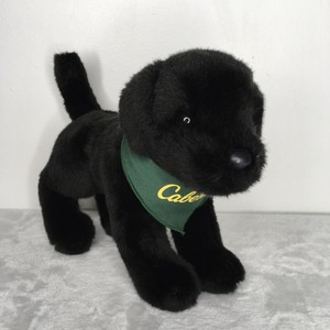 cabelas puppies for sale