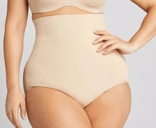 SHAPE by Cacique 26/28  Nude Level 3 Max Shaping Ultra Hi Waist Brief NWT #4982
