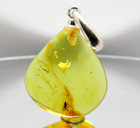Fossil insect Gnat inclusion in Genuine BALTIC AMBER Pendant 925 Sterling Silver