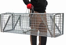 Fuchsfalle Waschb&auml;rfalle Kastenfalle Marderfalle Biber Falle 102x34x34  XL