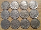 Lot of Twelve 20's and 30's Buffalo Nickels (Full dates & 1/2 to full horns)
