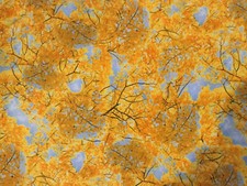 Fall branches fabric by Timeless Treasures, by the yard