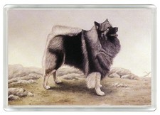 KEESHOND DOG FRIDGE MAGNET GREAT GIFT