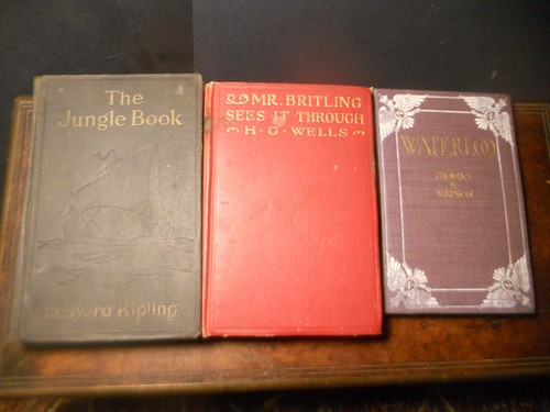 3 Lot 1930 Das Dschungelbuch Rudyard Kipling 1917 Mr Britling sieht H.G. WELLS - Bild 2 von 3