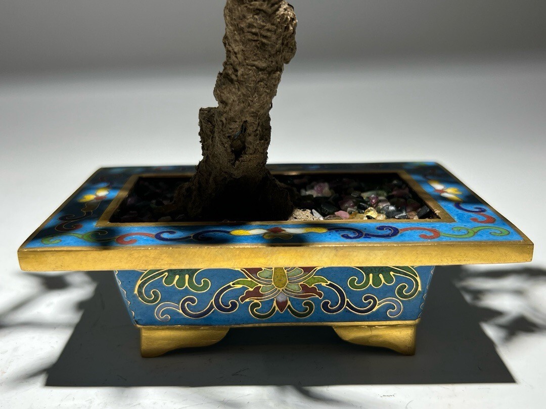 Bild 9 von 9