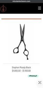 Mizutani Scissors | eBay