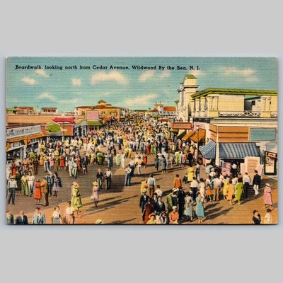 Postcard Boardwalk View North from Cedar Ave Wildwood NJ