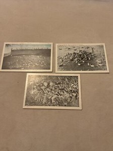 Pennsylvania PA - Ducks at the Spillway, Pymatuning Lake  3 Vintage Postcards