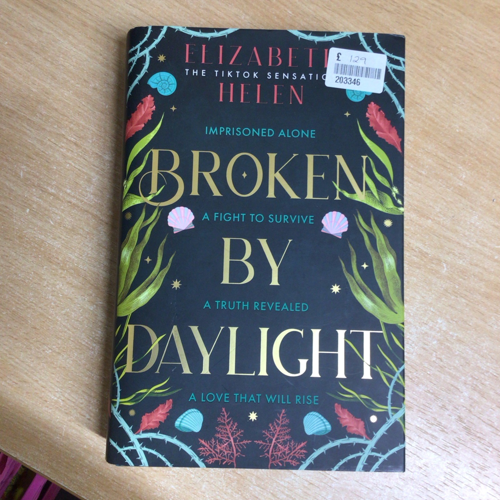 Broken by Daylight by Elizabeth Helen HARDBACK
