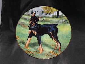 The Danbury Mint The Collection Entitled Miniature Pincher Autumn Playtime Plate