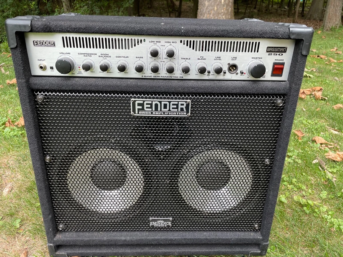 Fender Bassman 250/110 Bass Amp 250W