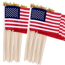 100 Pack Small American Flags on Stick, 4X6 Inch Small US Flags/American Flags f