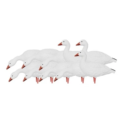 Erwachsene Schneegans Ganzkörper Jagd Lockvögel 10er Pack von Avian X - Bild 1 von 3